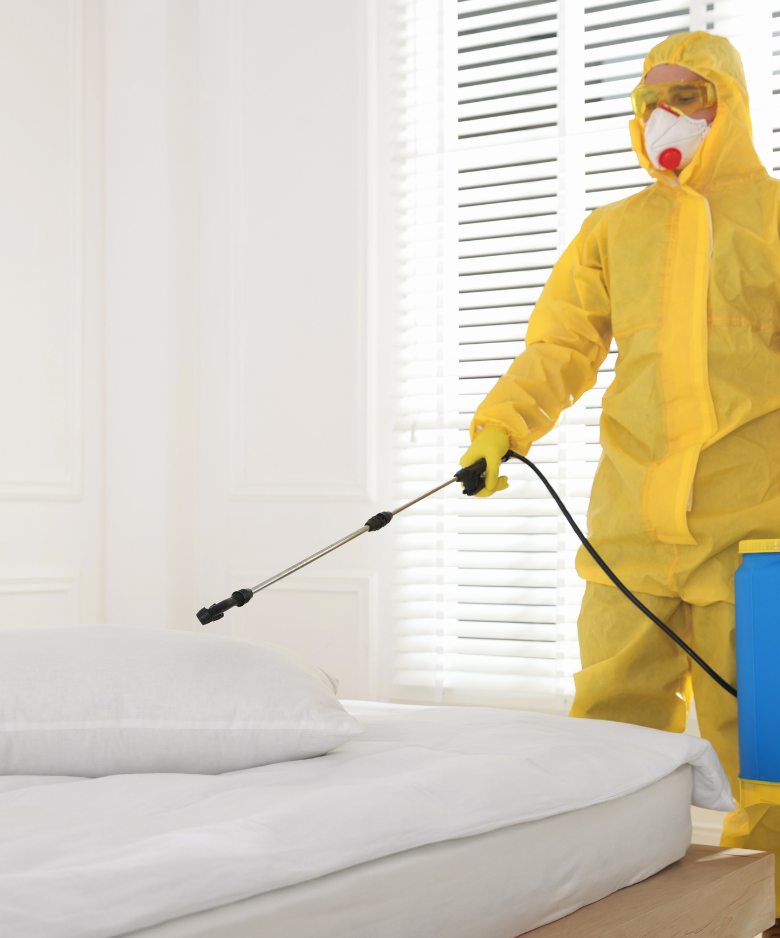 Professional Pest Control Team in Cudlee Creek